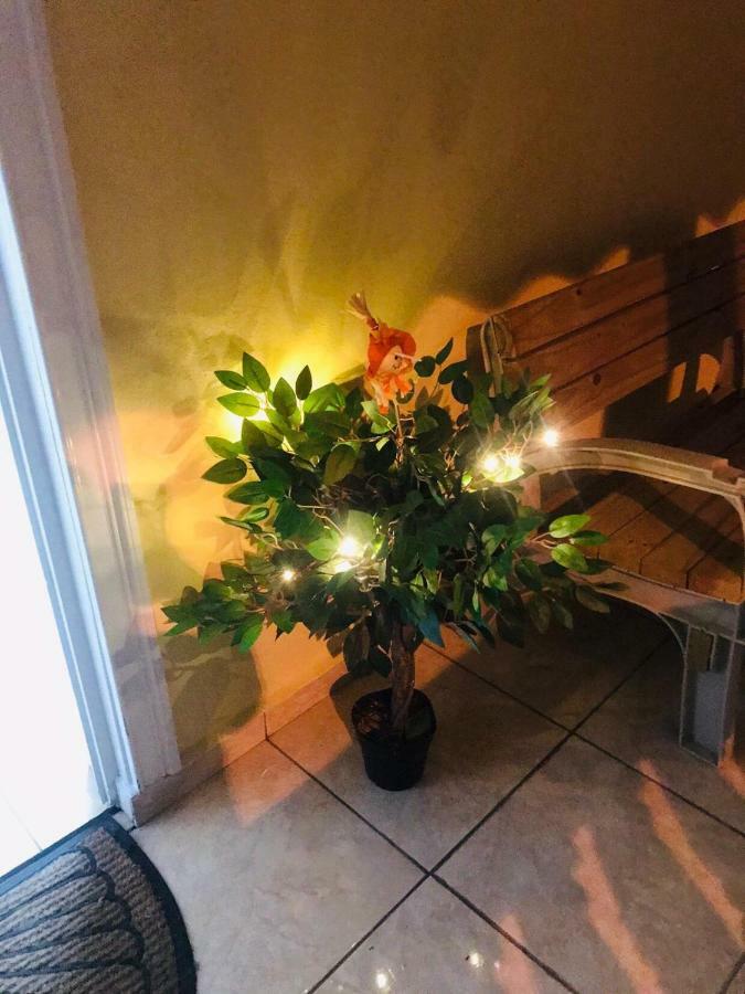Great Savannah Guesthouse Sabana Grande Екстериор снимка